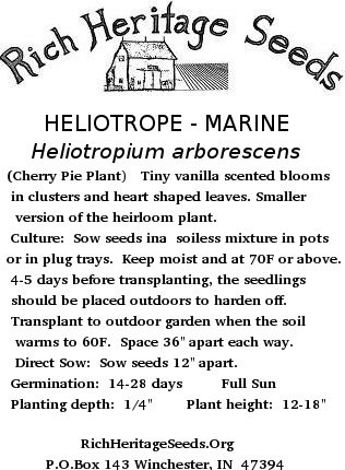 Plain Seed Packet Rich Heritage Seeds